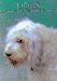  Dogs: A Portrait of the Animal World