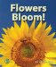 Flowers Bloom!