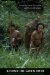 Beyond the Green Myth: Hunter-Gatherers of Borneo in the Twenty-first Century