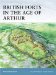  British Forts in the Age of Arthur