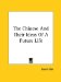 The Chinese and Their Ideas of a Future Life