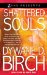  Shattered Souls