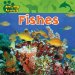  Fishes