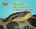  Green Anaconda: The World's Heaviest Snake