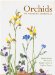  Orchids of Western Australia