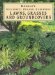  Lawns, Grasses and Groundcovers: Lawns, Grasses, and Ground Covers