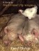 A Guide to Traditional Pig Keeping