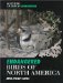 Endangered Birds of North America