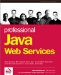  Professional Java Web Services