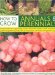  How to Grow Annuals & Perennials