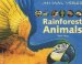  Rainforest Animals