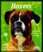  Boxers: Everything About Purchase, Care, Nutrition, Breeding, Behavior, and Training