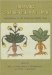  Islamic Crosspollinations: Interactions in the Medieval Middle East