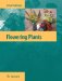  Flowering Plants
