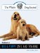 The Whole Dog Journal Handbook of Dog And Puppy Care And Training