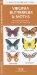  Virginia Butterflies & Moths: An Introduction to Familiar Species