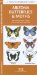  Arizona Butterflies & Moths: An Introduction to Familiar Species