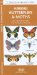  Hawaii Butterflies & Moths: An Introduction to Familiar Species
