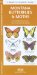  Montana Butterflies & Moths: An Introduction to Familiar Species