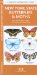  New York State Butterflies & Moths: An Introduction to Familiar Species