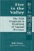  Fire in the Valley: The Traditional Chinese Medical Diagnosis and Treatment of Vaginal Diseases