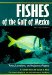  Fishes of the Gulf of Mexico: Texas, Louisiana, and Adjacent Waters