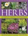 An Illustrated Encyclopedia of Herbs: A Comprehensive A-z of Herbs and Their Uses With 700 Color Photographs