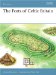 The Forts of Celtic Britain