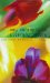  Key Concepts in Literary Theory