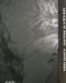  Rashid Johnson: Sharpening My Oyster Knife