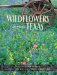  Wildflowers Across Texas