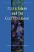  Public Islam and the Common Good