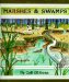  Marshes & Swamps