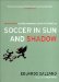  Soccer in Sun and Shadow