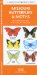  Missouri Butterflies & Moths: An Introduction to Familiar Species