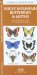  Rocky Mountain Butterflies & Moths: An Introduction to Familiar Species