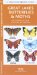  Great Lakes Butterflies & Moths: An Introduction to Familiar Species