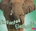  Elefantes/ Elephants