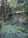  Louis G. Le Roy: Natuur, Cultuur, Fusie/Nature, Culture, Fusion