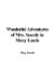  Wonderful Adventures of Mrs. Seacole in Many Lands