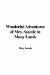  Wonderful Adventures of Mrs. Seacole in Many Lands