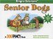  Senior Dogs