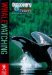  Discovery Travel Adventure Whale Watching