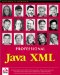  Professional Java Xml