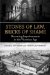 Stones of Law, Bricks of Shame: Narrating Imprisonment in the Victorian Age