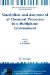  Simulation and Assessment of Chemical Processes in a Multiphase Environment