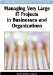  Managing Very Large IT Projects in Businesses and Organizations