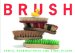  Brush