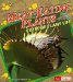  Meat-Eating Plants: And Other Extreme Plant Life