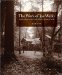 The Work of Joe Webb: Appalachian Master of Rustic Architecture